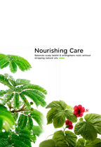 Natural Cleanser Powder